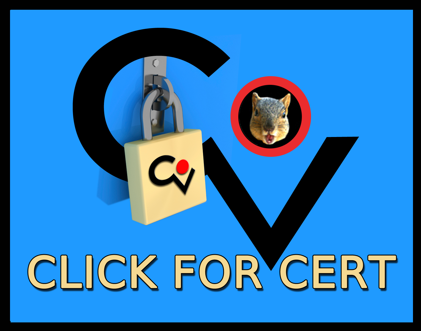 CompanyV Certificate Authority